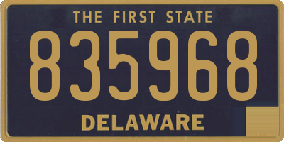 DE license plate 835968