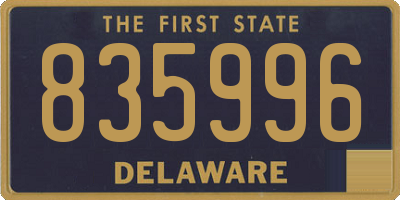 DE license plate 835996