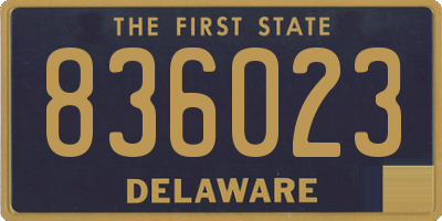 DE license plate 836023