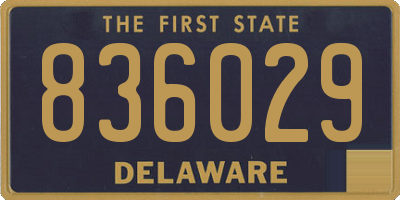 DE license plate 836029