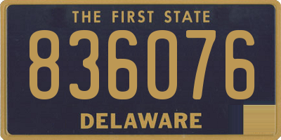 DE license plate 836076