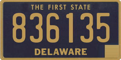 DE license plate 836135
