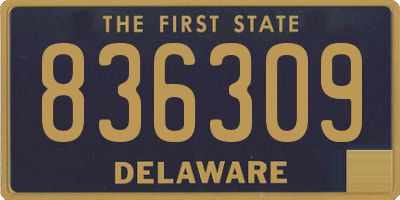 DE license plate 836309