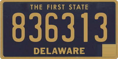 DE license plate 836313