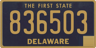 DE license plate 836503