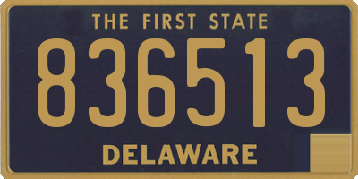 DE license plate 836513