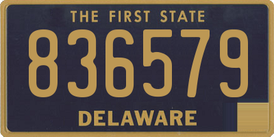 DE license plate 836579
