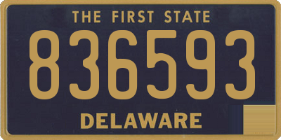 DE license plate 836593