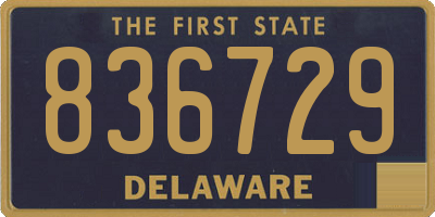 DE license plate 836729