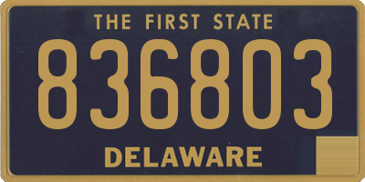 DE license plate 836803