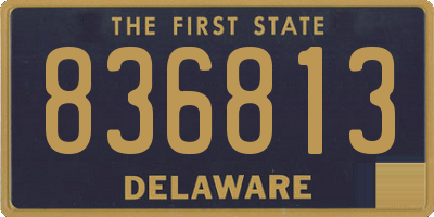 DE license plate 836813