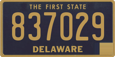 DE license plate 837029
