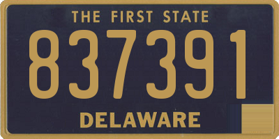 DE license plate 837391