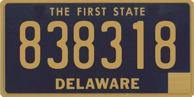 DE license plate 838318