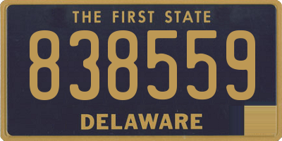 DE license plate 838559