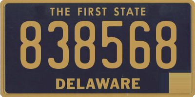 DE license plate 838568