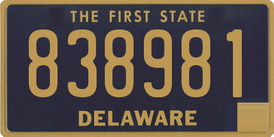 DE license plate 838981