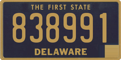DE license plate 838991