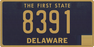 DE license plate 8391