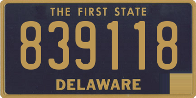 DE license plate 839118