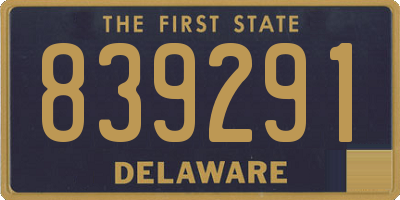 DE license plate 839291