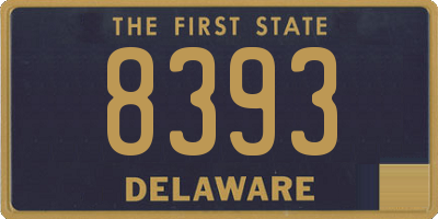 DE license plate 8393