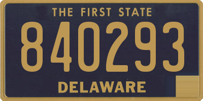 DE license plate 840293