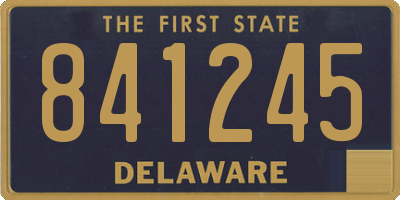 DE license plate 841245