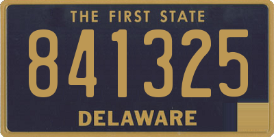 DE license plate 841325