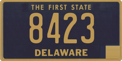 DE license plate 8423