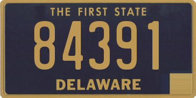 DE license plate 84391