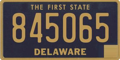 DE license plate 845065