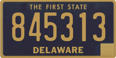 DE license plate 845313