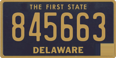 DE license plate 845663