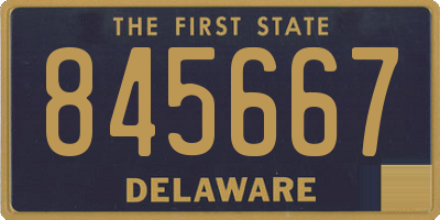 DE license plate 845667