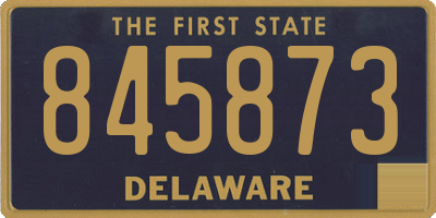 DE license plate 845873