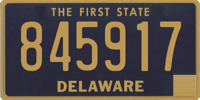 DE license plate 845917