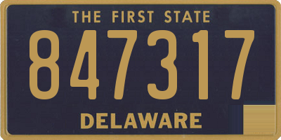 DE license plate 847317