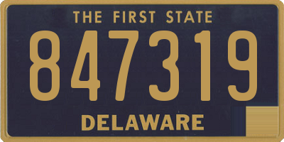 DE license plate 847319