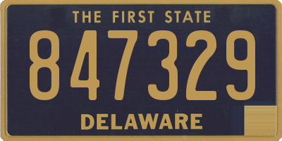 DE license plate 847329