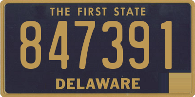 DE license plate 847391