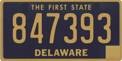 DE license plate 847393