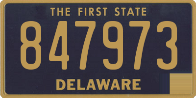DE license plate 847973