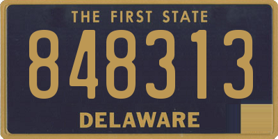 DE license plate 848313