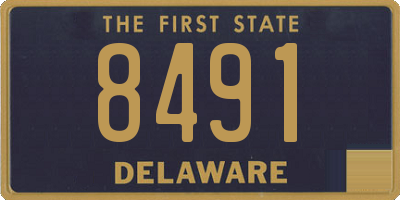 DE license plate 8491