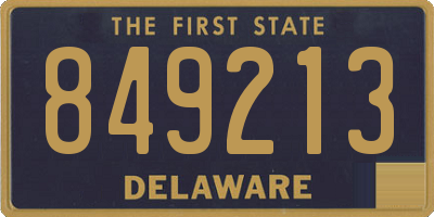 DE license plate 849213