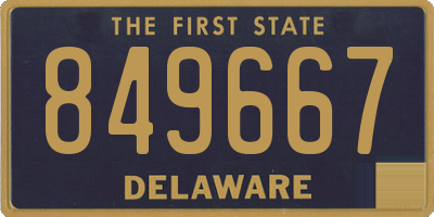 DE license plate 849667