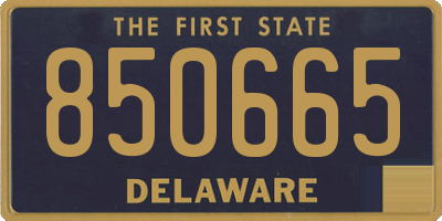 DE license plate 850665