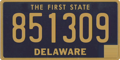 DE license plate 851309