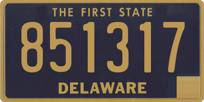 DE license plate 851317